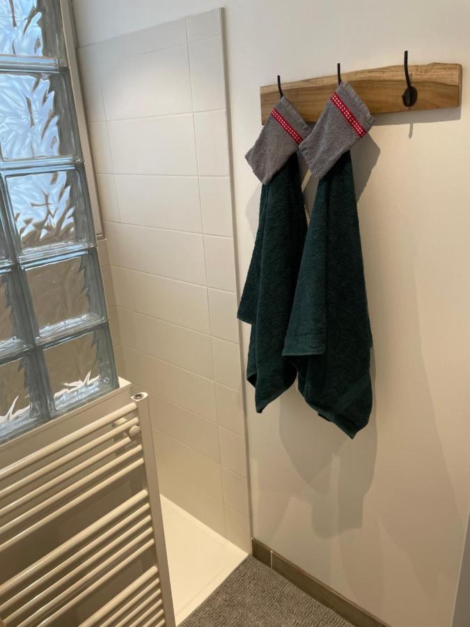 Appartement Du Lion 贝尔福 外观 照片