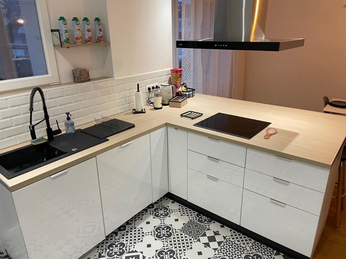 Appartement Du Lion 贝尔福 外观 照片